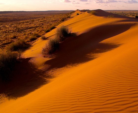 The setting sun lights up the Big Red sand ridge of the Simpson Desert and guests turn to living in the moment