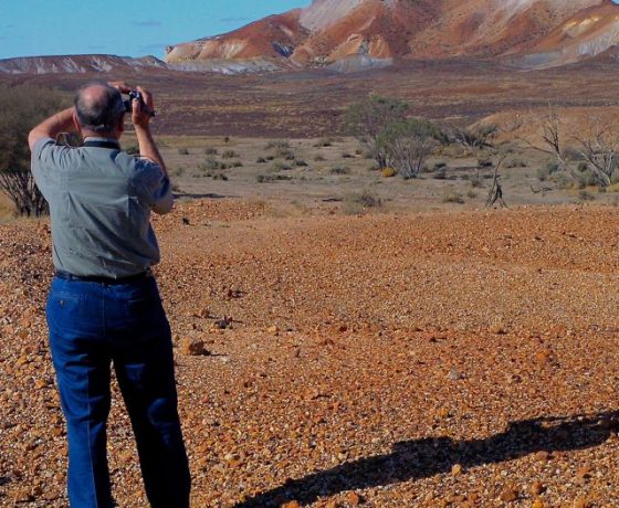 Tour Guests are inspired by the raw beauty of the Painted Desert few Australians have visited or are aware of