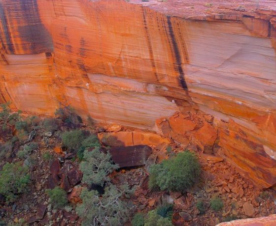 The Rim Walk of Kings Canyon provides dramatic vistas of sheer walls and colour, historically a place of sacred significance to our First Peoples 
