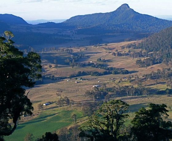 Mt Wilson and other peaks of the world heritage Main Range and Border Ranges National Parks surround farming land at "The Head", the headwater of the Darling River tributaries, Australia's longest river system 