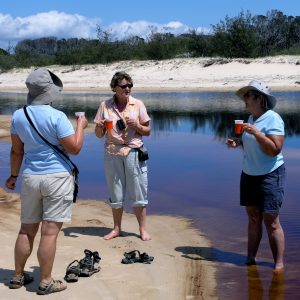 Guests enjoying a morning - tea break on Fraser island part of the Queensland Outback to Reef Tour
