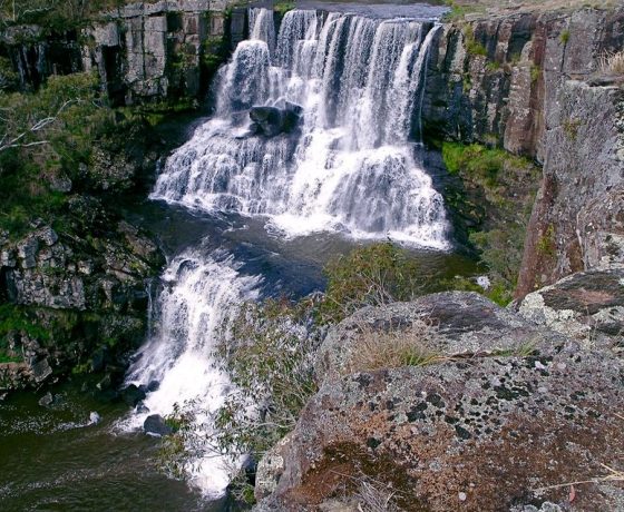 Each travel day provides a change of landscape and ecosystems with delightful distractions such as the upper and lower Ebor Falls and the short walk between