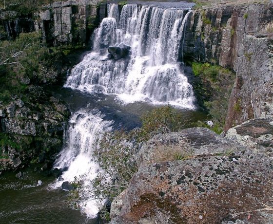Each travel day provides a change of landscape and ecosystems with delightful distractions such as the upper and lower Ebor Falls and the short walk between