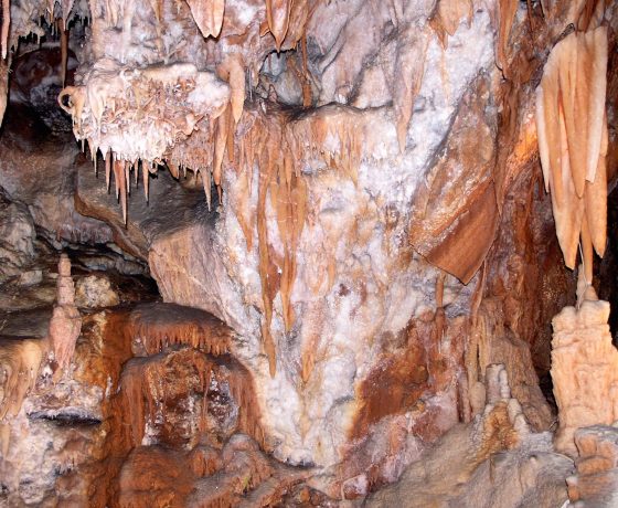 Toward journey's end we spend a morning on a guided tour of the historic Jenolan Caves