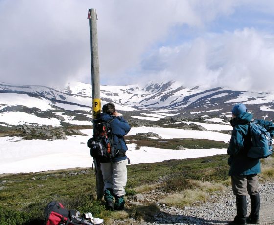 An occasional 4 day tailored tour extension to the rooftop of Australia with a summit walk of Mt Kosciuszko can be considered at the request of small groups of guests