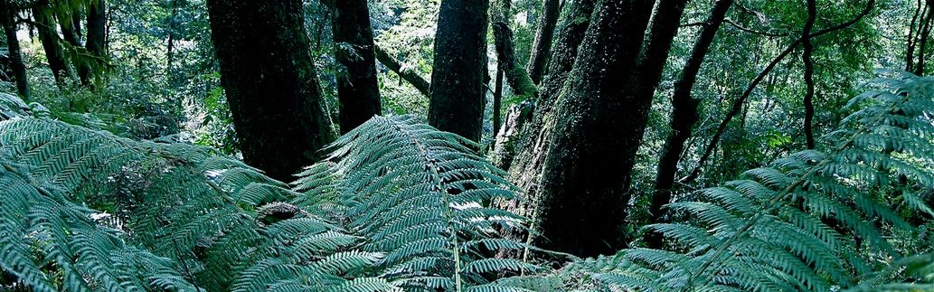 australian heritage tours