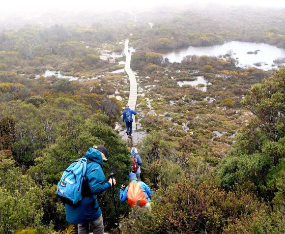 Guided walks in Tasmania's wild can be enjoyable and experiential in all weather conditions