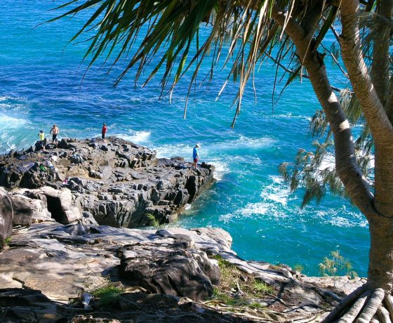 Toward journeys end, a walk in the Noosa Heads National Park reveals idyllic coves, marine life, Koalas and bronzed Aussies surfing the waves