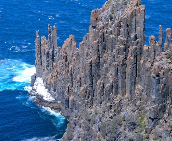 Columnar joints of dolerite tower over the surging ocean while shelves below are home to sea lions and sea birds 