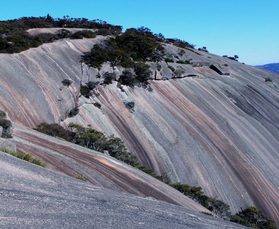 A relatively easy trail to the summit of Bald Rock passes through fields of grand boulders adorned with ferns and orchids before opening to a dramatic view of the striated slopes