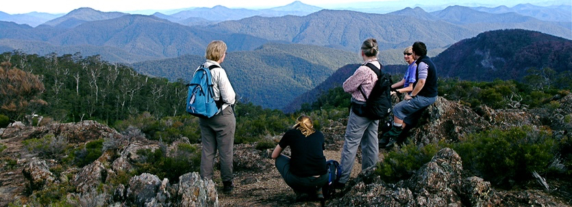 Wrights Lookout over the wilderness, New England National Park