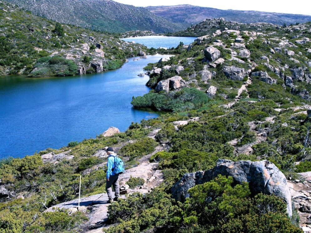 Mt Field National Park's Tarn Shelf a glowing exhibit of Australian Natural History