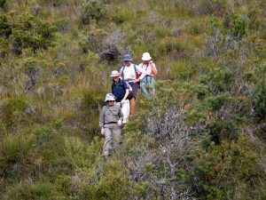 Tour group descending Mt Eliza trail