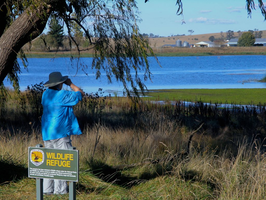 Birding is one of many special interest pursuits of Nature Bound Australia's experiential tours