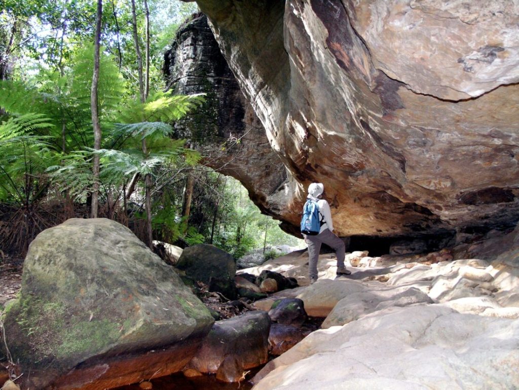 Personal discovery and harmony with the Australian bush is all about awareness of nature's offering