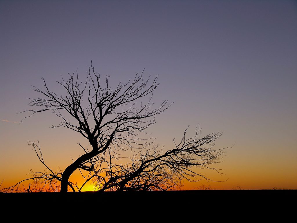 Sunset across the vast horizon of the Corner Country near Tibooburra