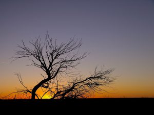 Sunset across vast horizon of the Corner Country near Tibooburra