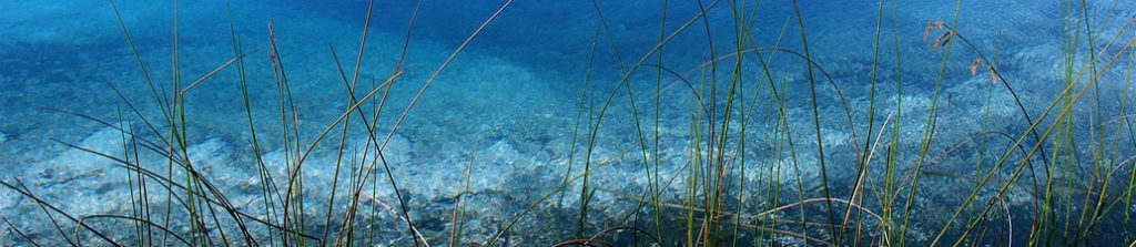 Tranquility by a pristine freshwater lake on private tour of World Heritage sites 