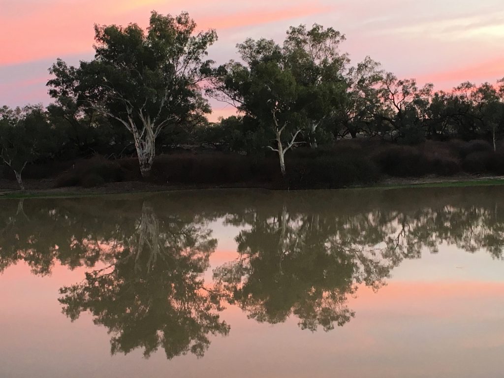 Compelling viewing at dawn and dusk on the banks of Cooper Creek near the lonely outpost of Innamincka