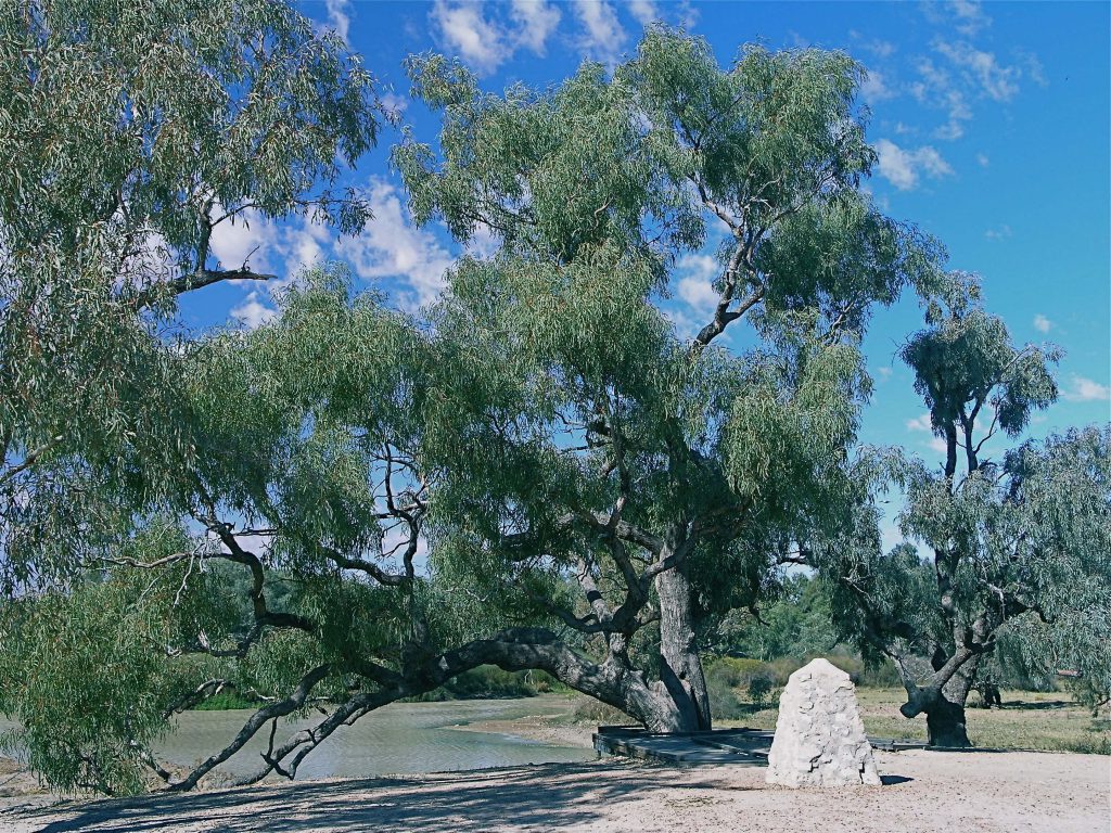 The Burke and Wills "Dig Tree" part of Australian Bush legend