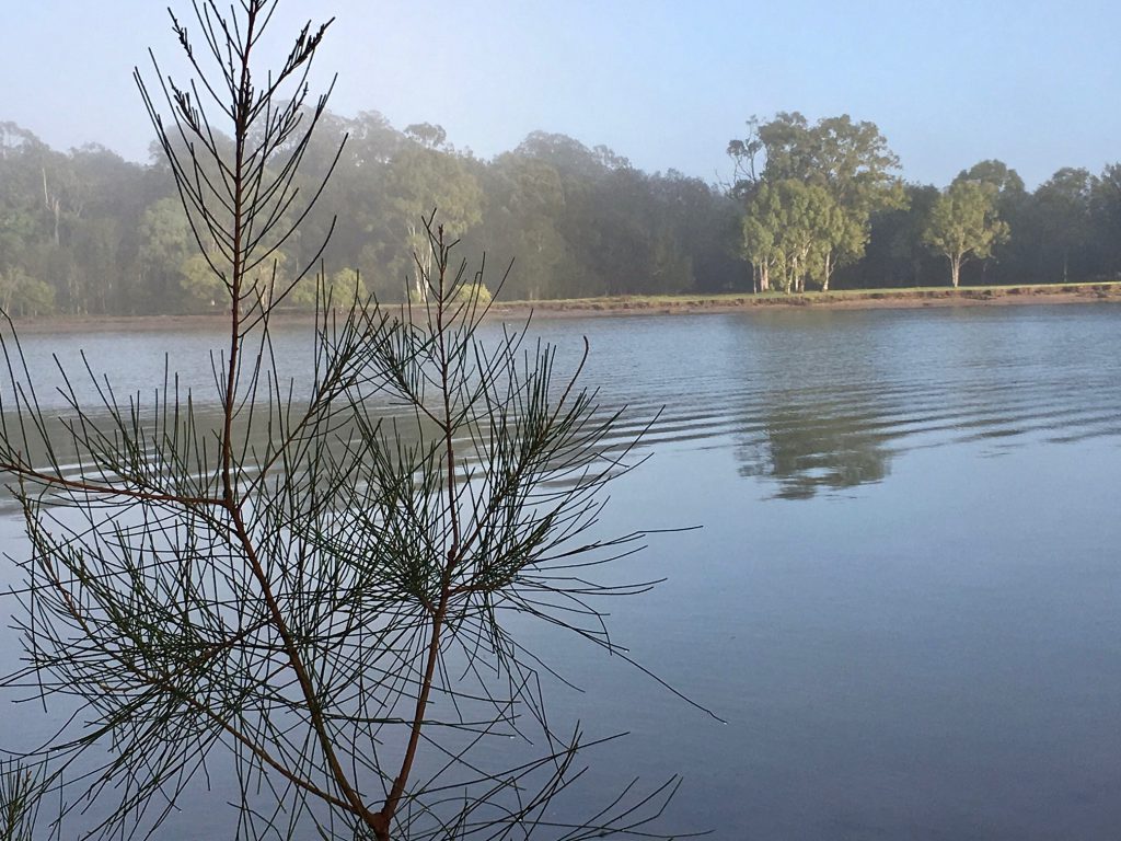 Coomera River scene