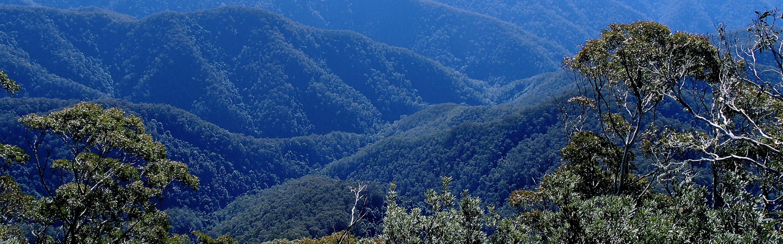 View of New England National Park wilderness on World Heritage Gondwana Tour