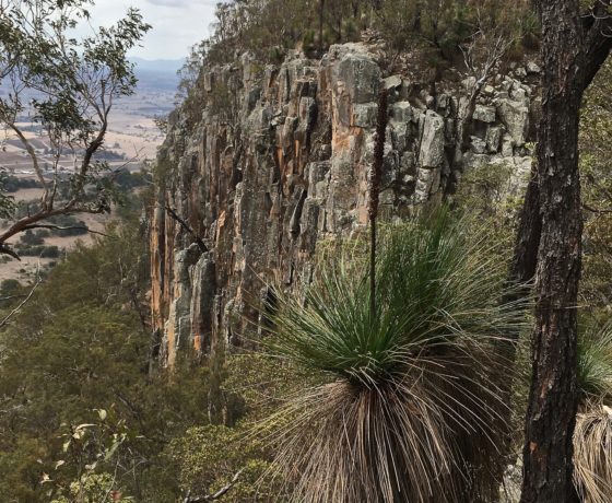 A rock climber's paradise discovered but not "attempted" on the western downs and great divide tours