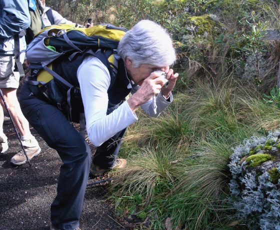 Guests find fascinating subjects to photograph on all tours while connecting to nature