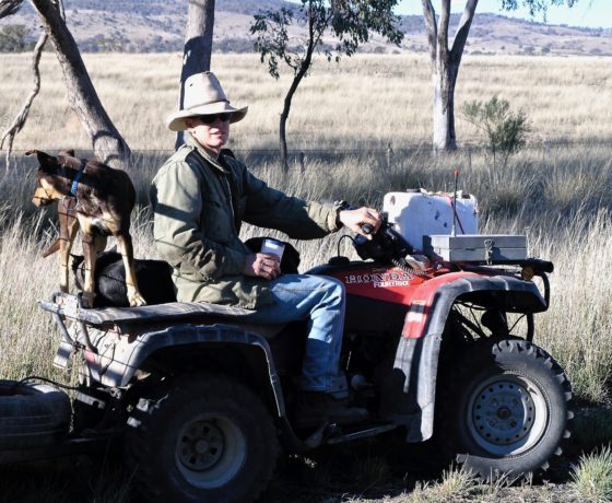 Serendipity moments along the "Long Paddock" reveal a dedication to rural life within family businesses, where  stewardship leads to dynasties.