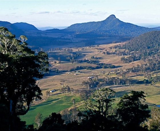 Enjoy the crisp mountain air and expansive views over The Head of the Darling River catchment from the world heritage rainforest clad Border Ranges