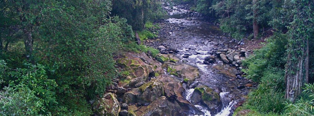 Wilderness River Barrington Tops NP