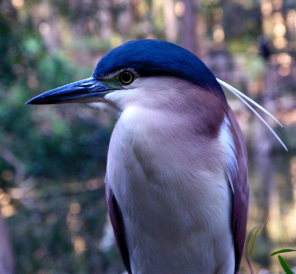 Connecting with nature starts with a searching eye for detail