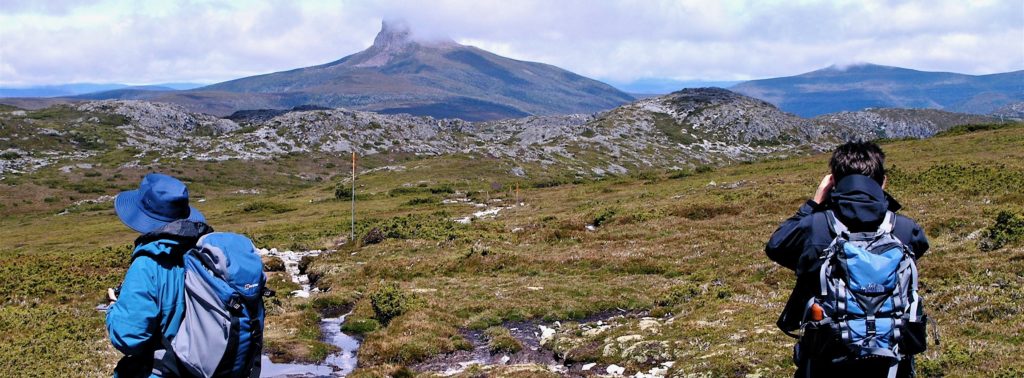 Cradle Mountain trail toward Barn Bluff