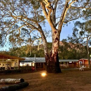 Wilpena Pound Resort