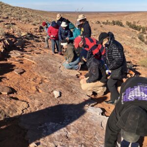 Group inspecting Fossils