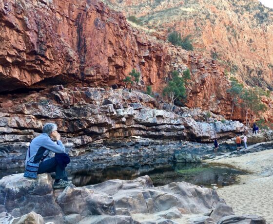 Seat of contemplation in Ormiston Gorge