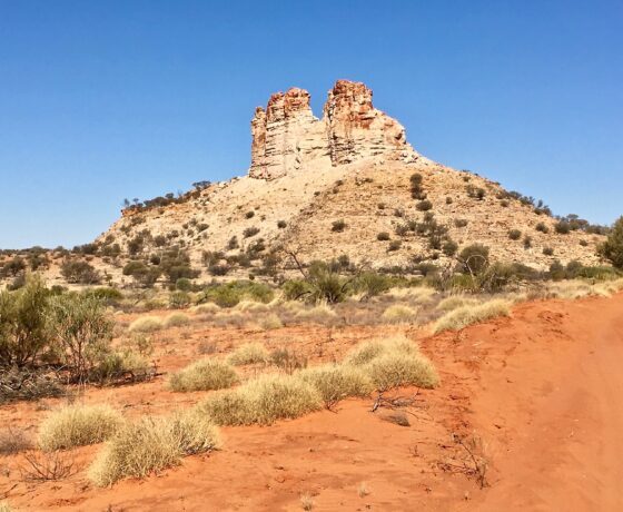 Stately monolith of the Simpson Desert Outliers