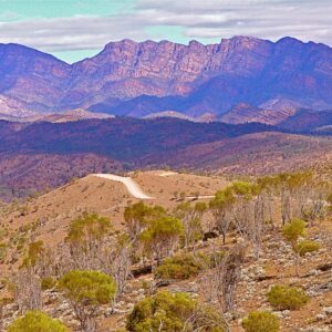Track to Flinders Ranges gorges