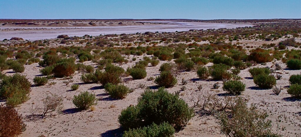 Saltbush plain adjoining salt encrusted Goyder Channel linking Lake Eyre North and South