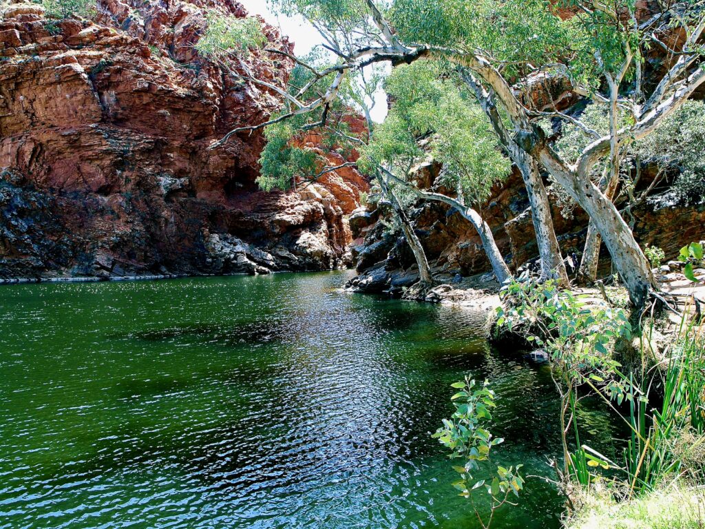 Ellery Creek Big Hole