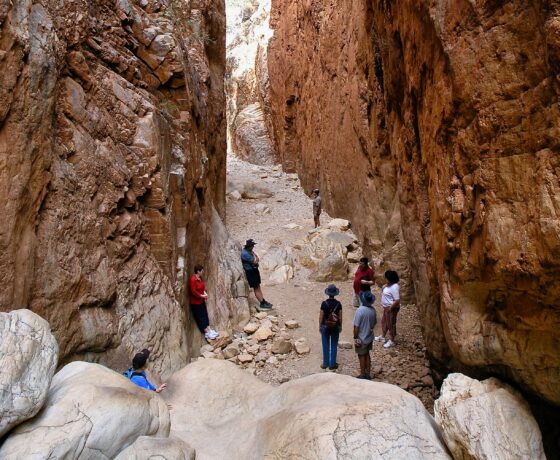 Standley Chasm, MacDonnell Ranges