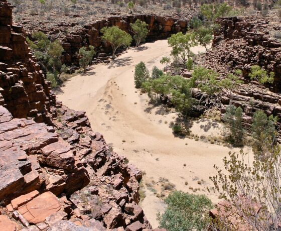 Rim view of Trephina Gorge