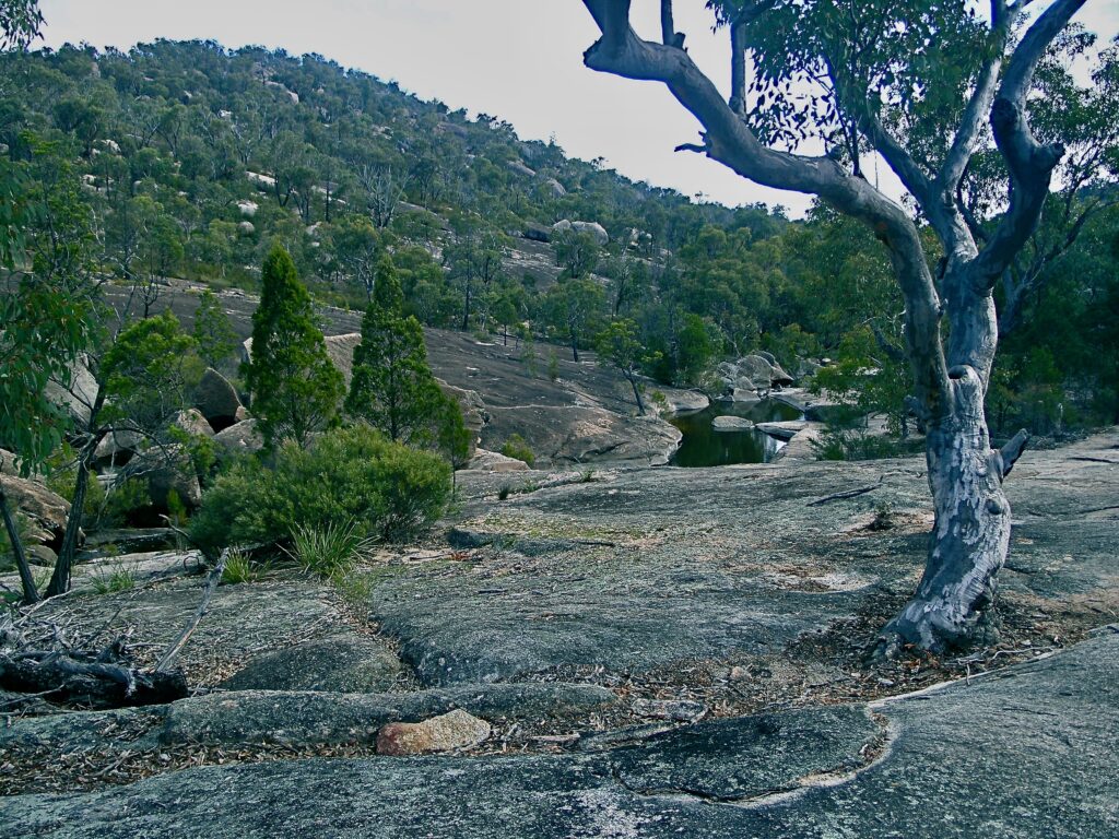 Granite Belt Country, Girraween National Park