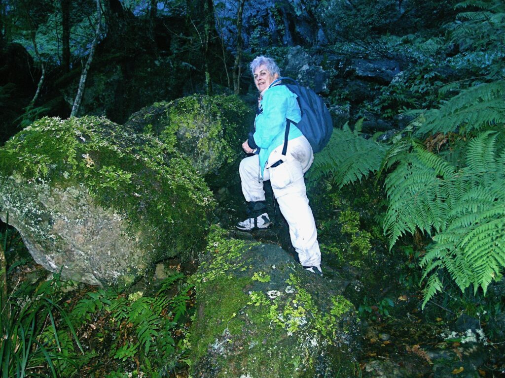 Deep along the Eagles Nest Trail