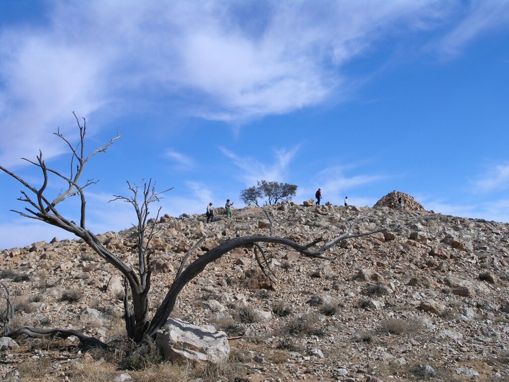 Trail to summit of Mt Poole near Depot Glen