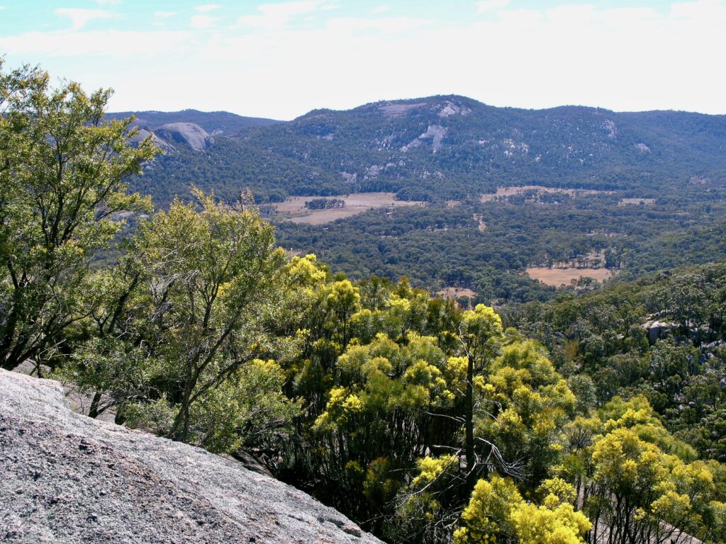 The Granite Landscape, Girraween National Park