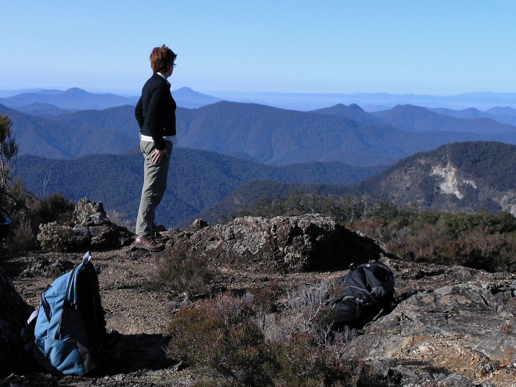 High on Wrights Lookout