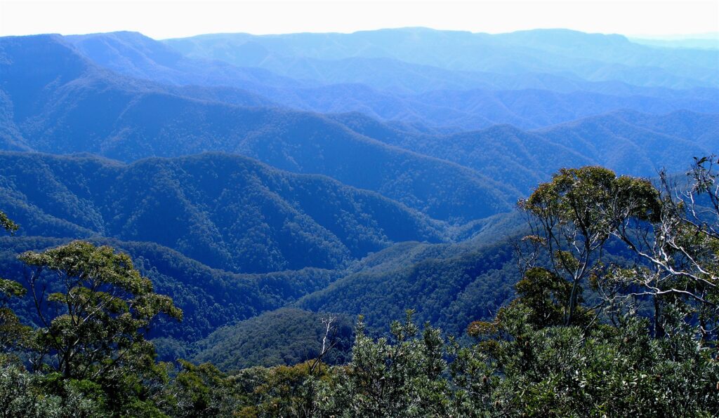 World Heritage New England wilderness from Point Lookout