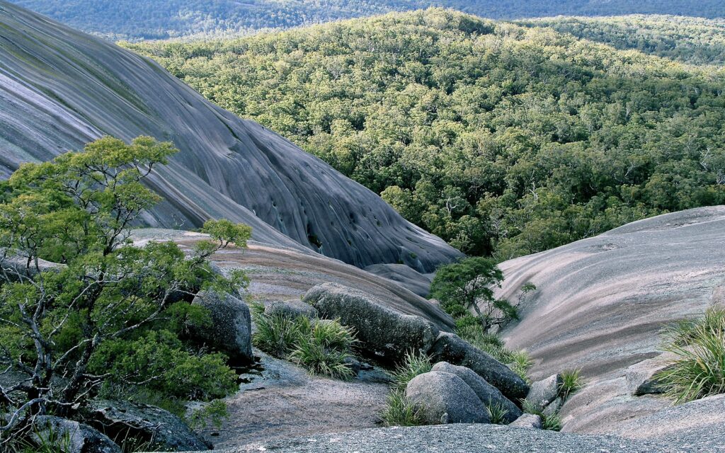 Bald Rock gully