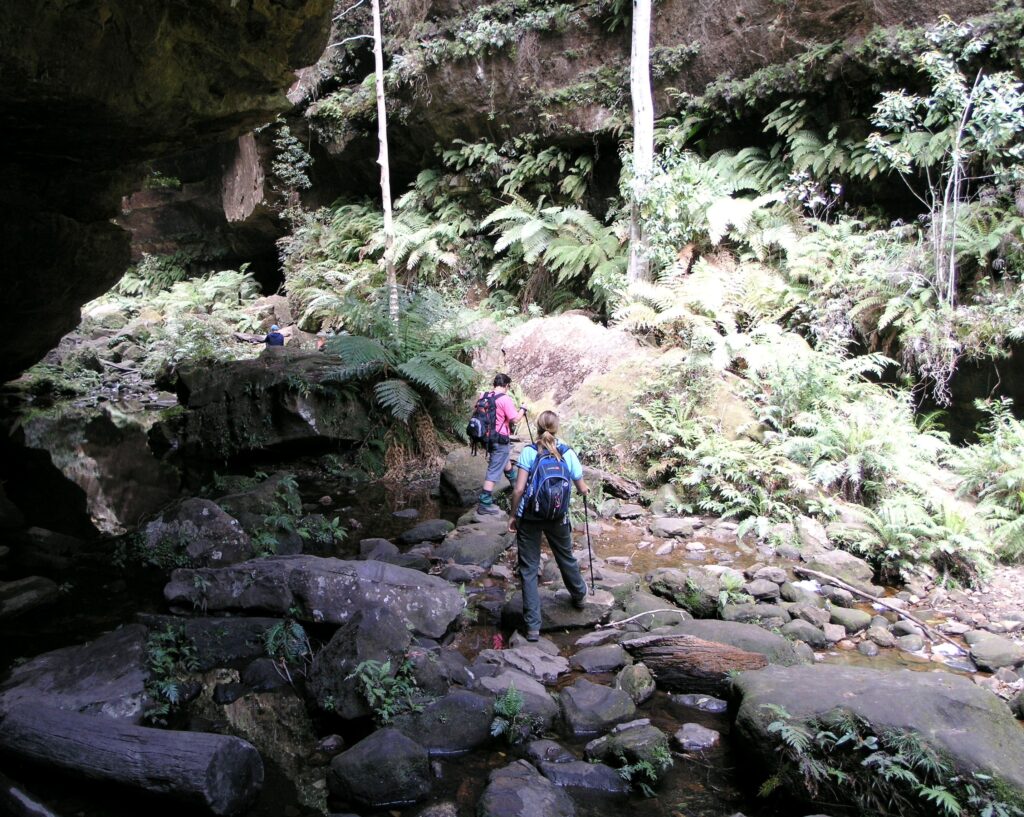 Creek crossing in Grand Canyon, Blue Mountains